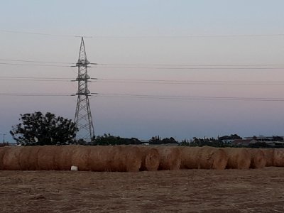 Agriculture in Ypsonas village Limassol Cyprus at sunset 15