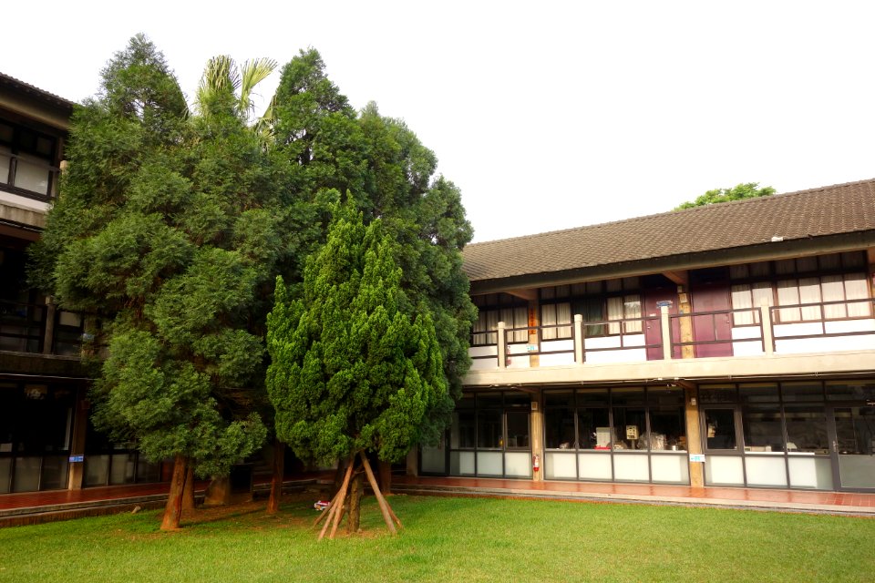 Agriculture College - Tunghai University - DSC01469