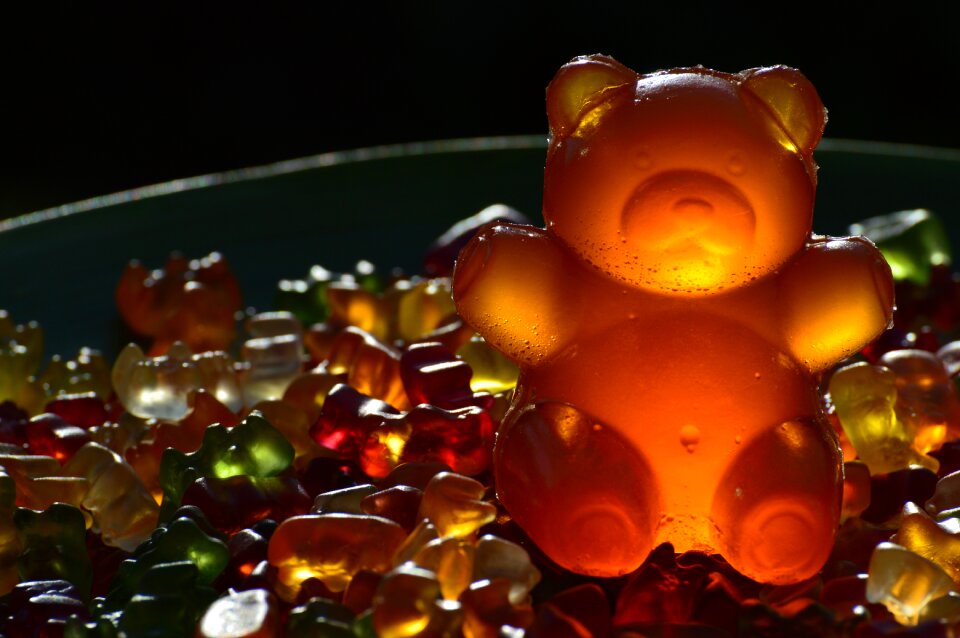 Gummi bear bear delicious