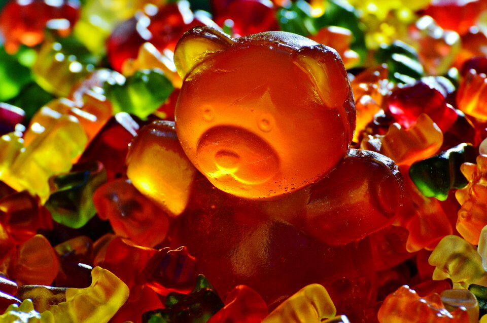 Gummi bear bear delicious