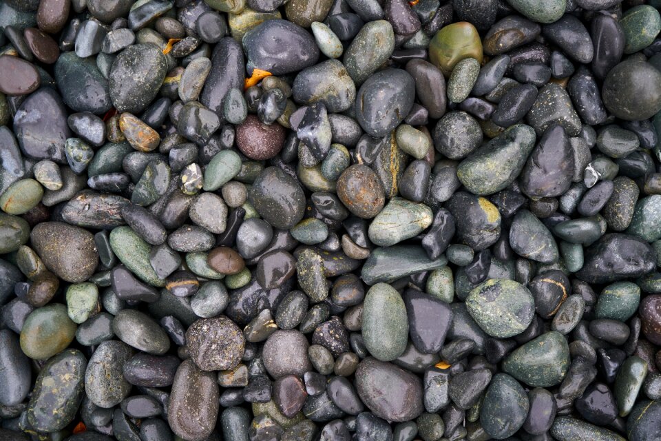 Background nature horizontal