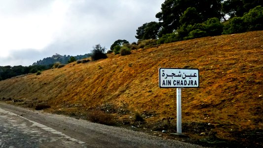 Ain Chadjra عين شجرة photo