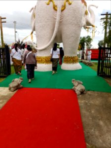 Airavata elephant - Wat Hiranyawat - Chiang Rai - 2017-01-02 - 003
