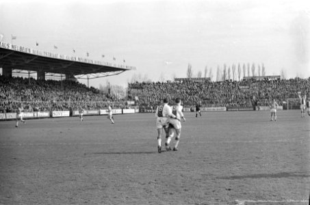 Ajax tegen Go Ahead 4-1, Swart (nummer 8) brengt Cruijff naar middenstip na hond, Bestanddeelnr 920-1719