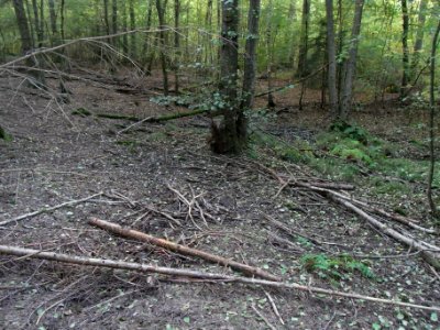 Aitzenbach untere Hauptquelle