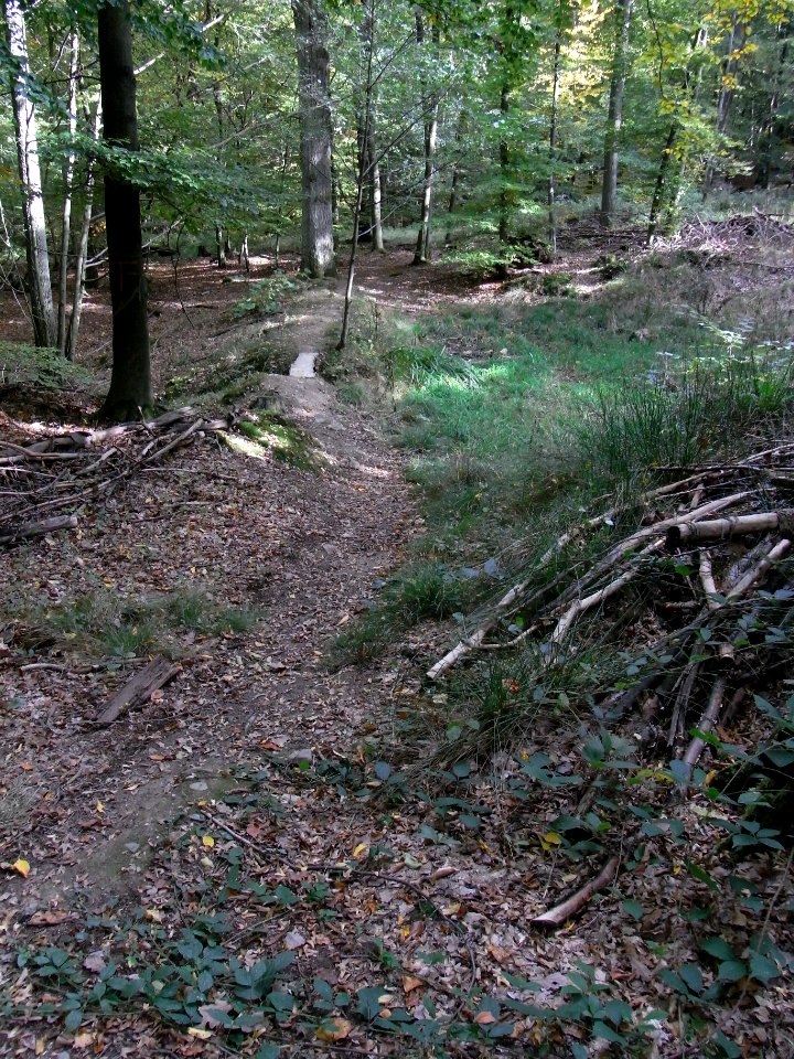 Aitzenbach von oberer Waldteich Station 8 Steg