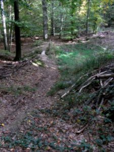 Aitzenbach von oberer Waldteich Station 8 Steg