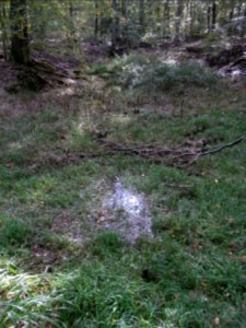 Aitzenbach von oberer Waldteich Station 8