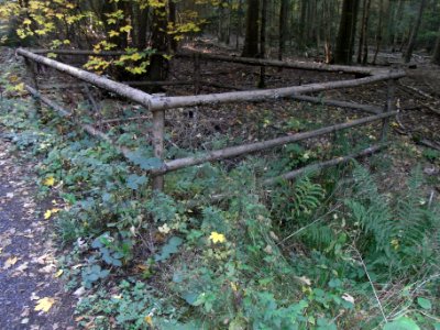 Aitzenbach Quelle "gefasst" Zufluss
