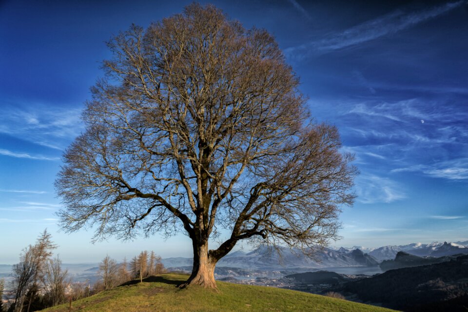 Landscape seasons trees sleeping