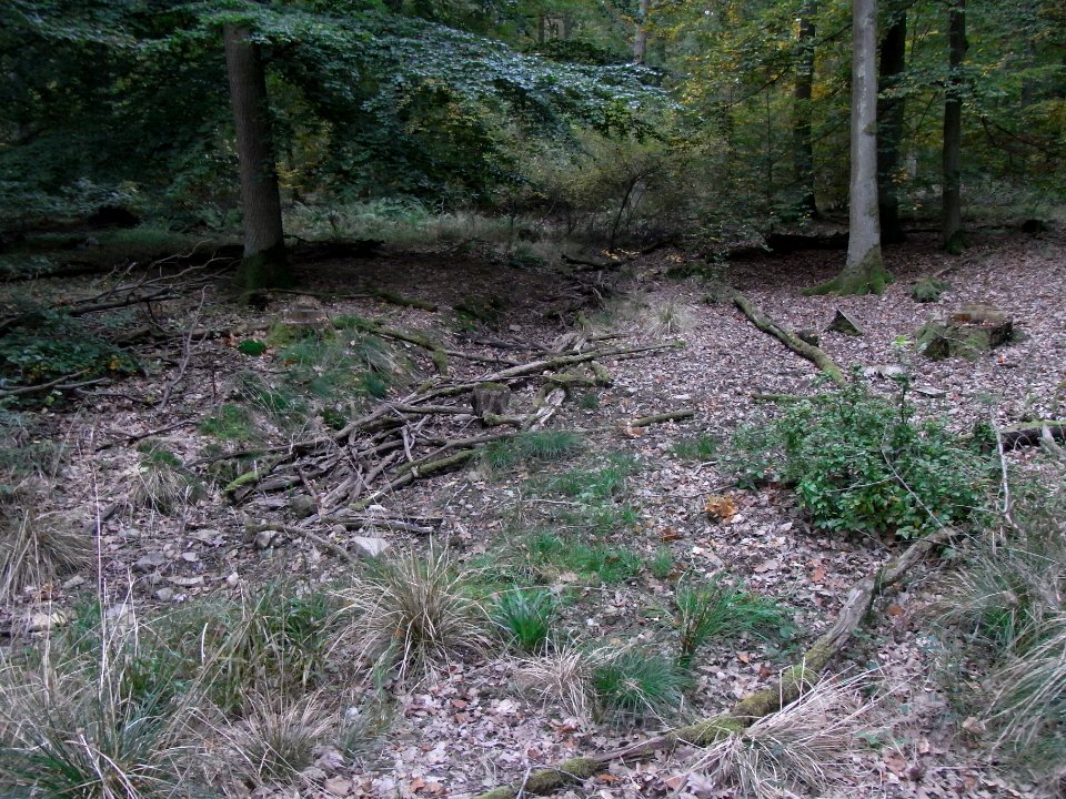 Aitzenbach Graben unterhalb Panzerstraße Schwemmgut