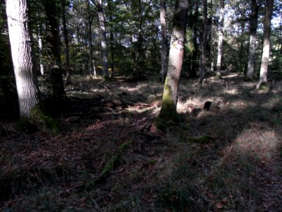 Aitzenbach Graben unterhalb Panzerstraße krumm