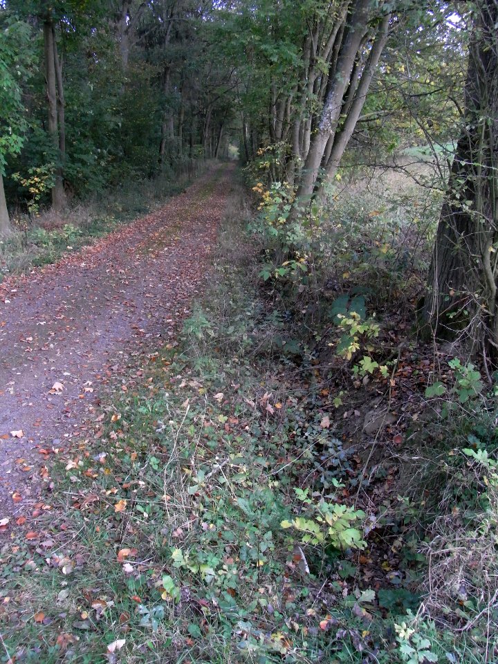 Aitzenbach Graben Weg Inge