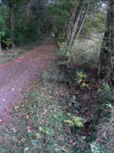 Aitzenbach Graben Weg Inge