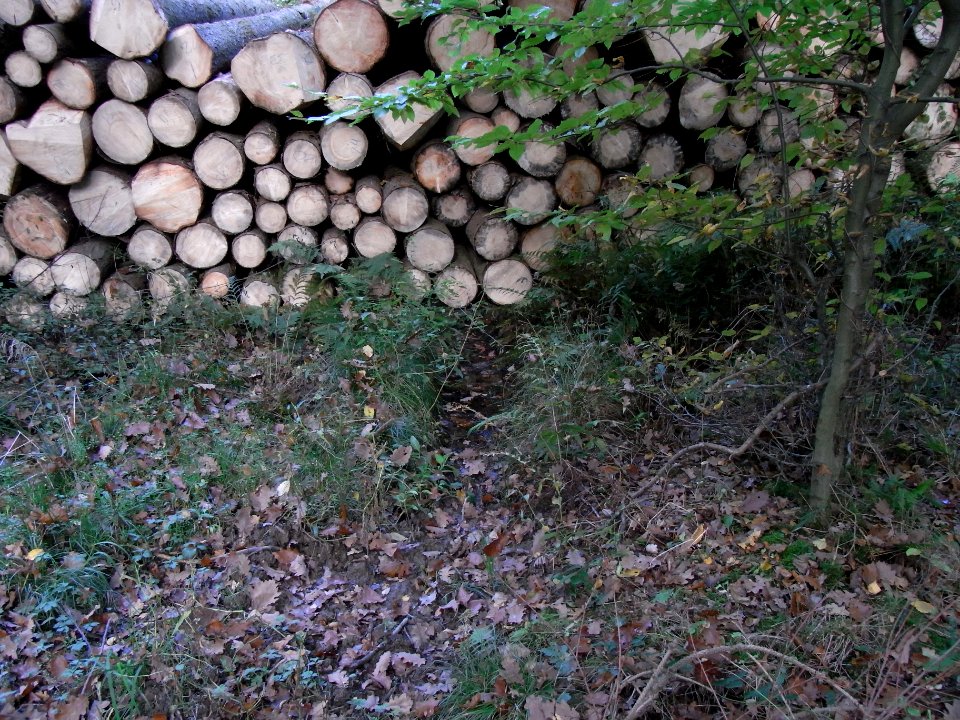 Aitzenbach Graben an Weg auf Damm