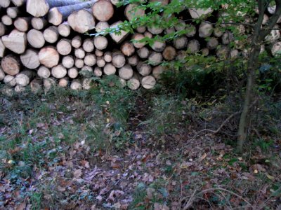Aitzenbach Graben an Weg auf Damm