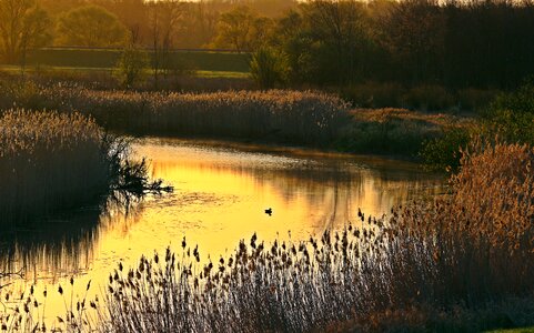 River bend morning light sunrise
