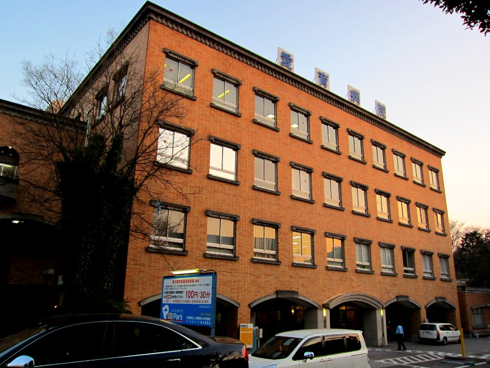 Aiiku Hospital 20110204