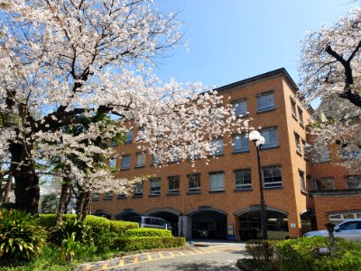 Aiiku Hospital 3 photo