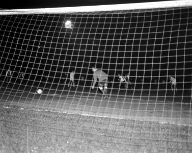 Ajax tegen Feyenoord (juichende spelers van Ajax), Bestanddeelnr 913-8146