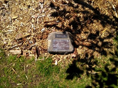 Aigantighe Art Gallery - 22 - Tree commemorating opening (replacement) - Plaque