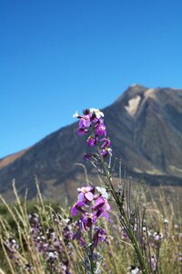 Spain teide nature photo