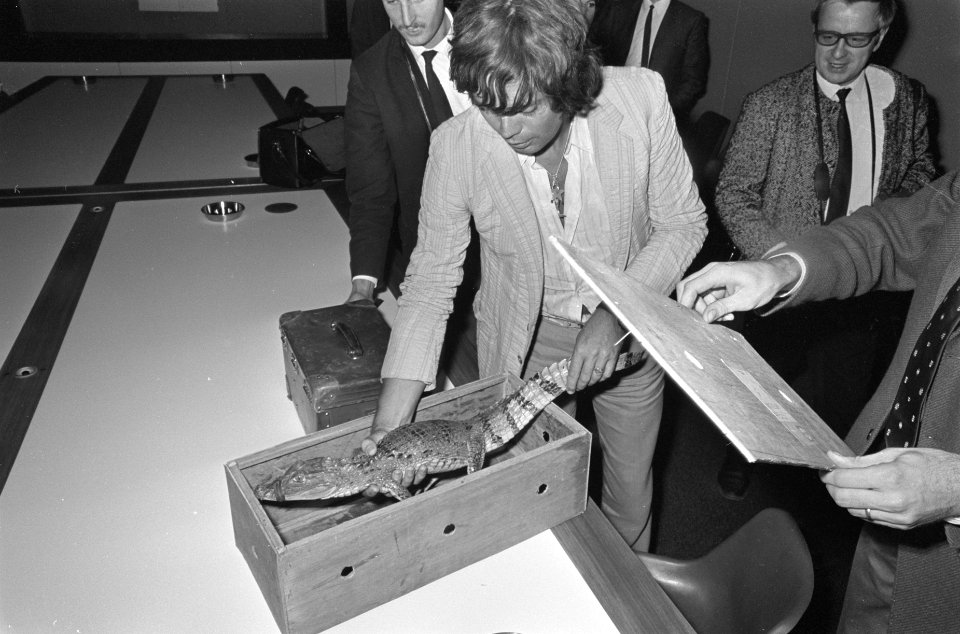 Aankomst Johnny Lion op Schiphol met Sofietje van der Kleef en alligator terug v, Bestanddeelnr 920-7960
