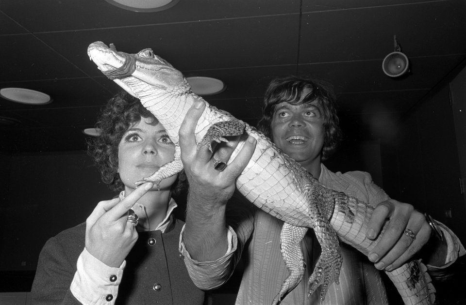 Aankomst Johnny Lion op Schiphol met Sofietje van der Kleef en alligator terug v, Bestanddeelnr 920-7959