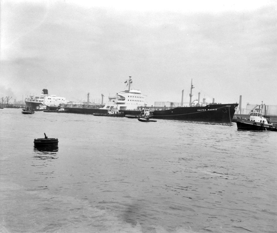 Aankomst van de grootste Nederlandse vlagvarend schip in Rotterdam, Bestanddeelnr 912-3726
