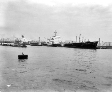 Aankomst van de grootste Nederlandse vlagvarend schip in Rotterdam, Bestanddeelnr 912-3727