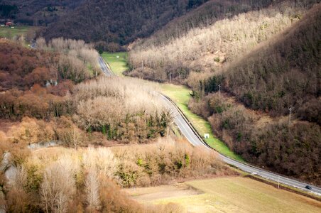 Mountains trees green photo