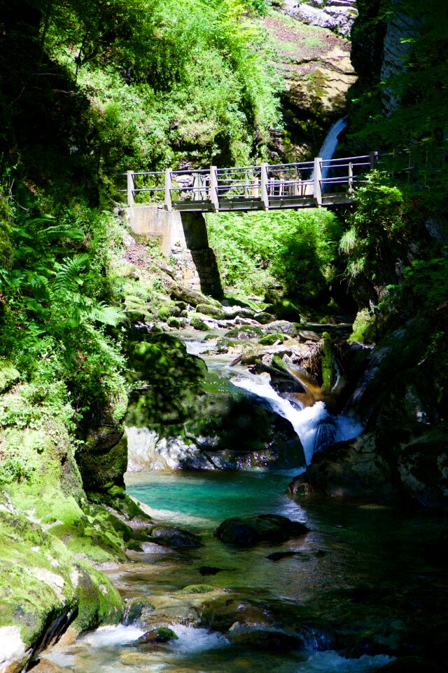 Gorge tobel bridge