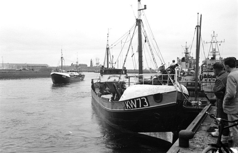 Aankomst nieuwe haring in IJmuiden Aanmeren KW 73, Bestanddeelnr 912-5238