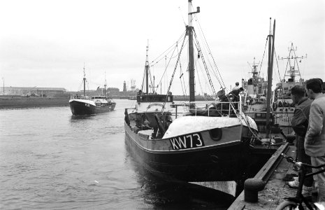 Aankomst nieuwe haring in IJmuiden Aanmeren KW 73, Bestanddeelnr 912-5238