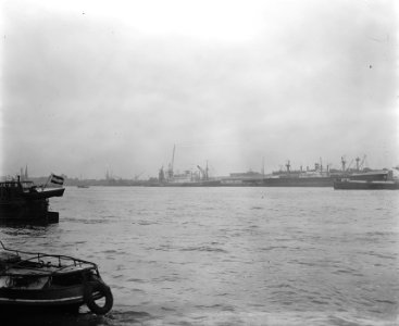 Aankomst Noordam. In de haven, Bestanddeelnr 902-7098