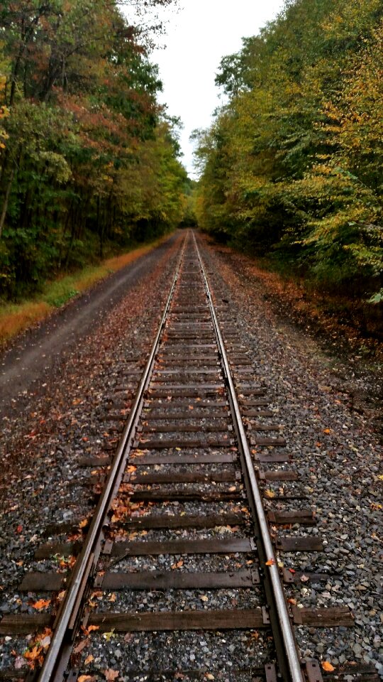 Fall travel train brown train