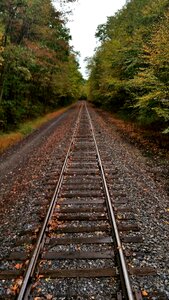 Fall travel train brown train