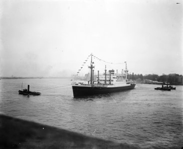 Aankomst Noordam, Bestanddeelnr 902-7091