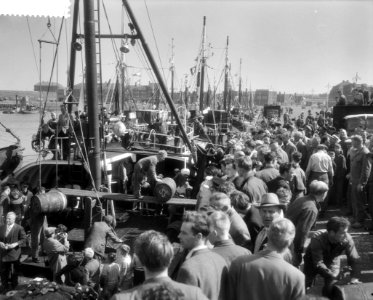 Aankomst Nieuwe Haring in Scheveningen aangevraagd door de Noorderkroon, vat, Bestanddeelnr 910-3882