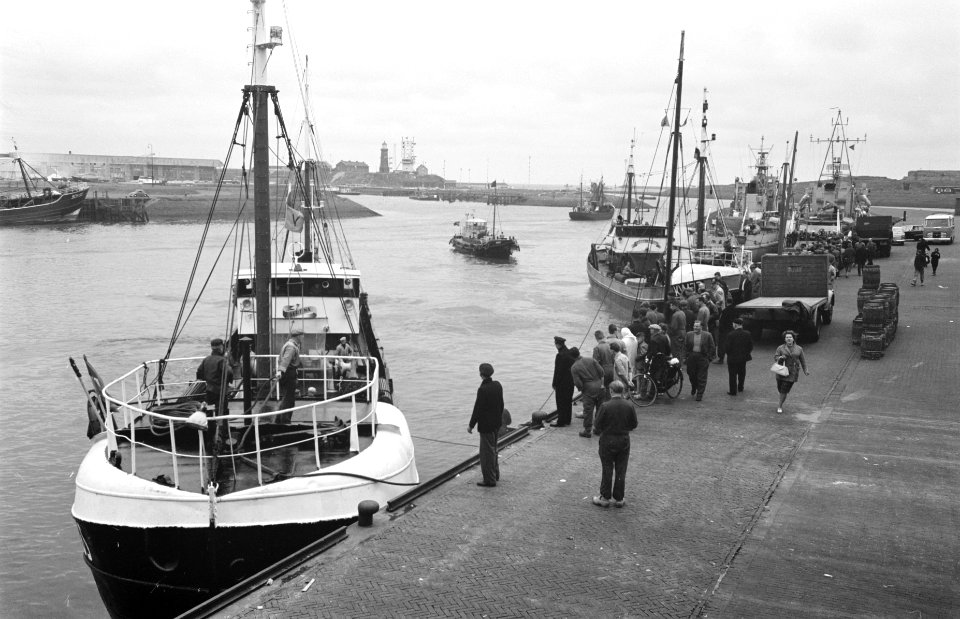 Aankomst nieuwe haring in IJmuiden, Bestanddeelnr 912-5237