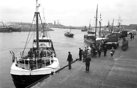 Aankomst nieuwe haring in IJmuiden, Bestanddeelnr 912-5237