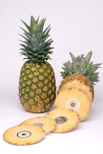 Still life fruit computer science