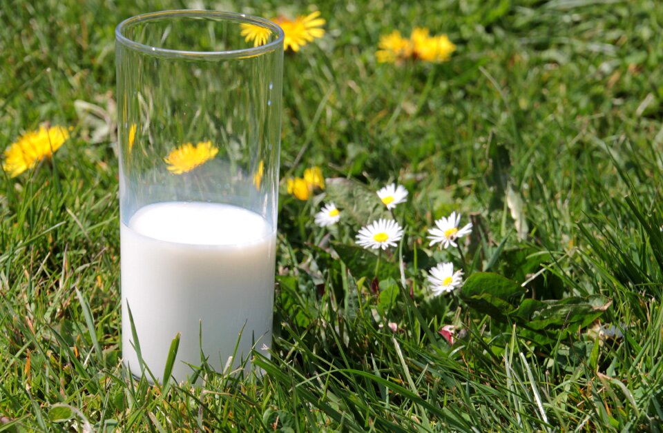 Drink benefit from delicious