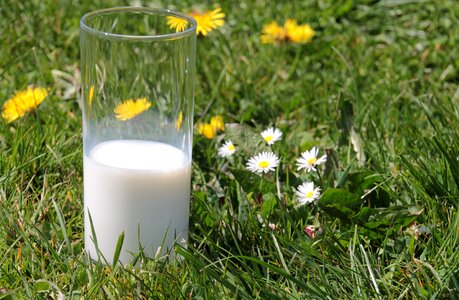 Drink benefit from delicious