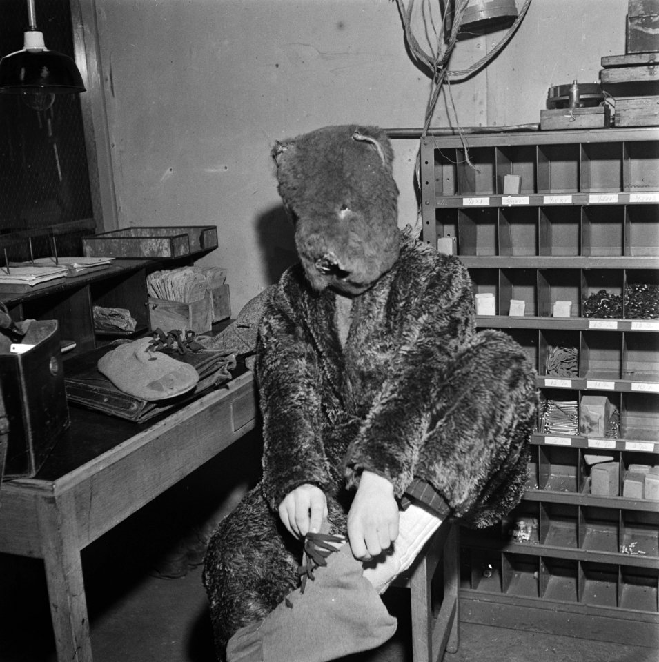 Aankomst Sint Nicolaas te Amsterdam. Man hult zich in berenpak, Bestanddeelnr 901-1671