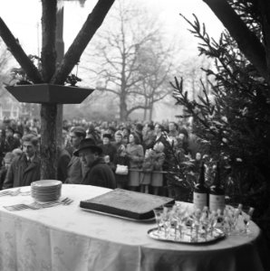 Aankomst Sint Nicolaas te Amsterdam. Publiek, Bestanddeelnr 901-1695