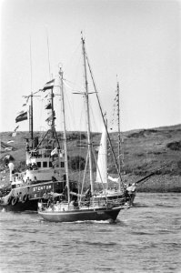 Aankomst solozeiler Eilco Kasemier op schip Bylgia in IJmuiden binnenkomst schi, Bestanddeelnr 929-8624