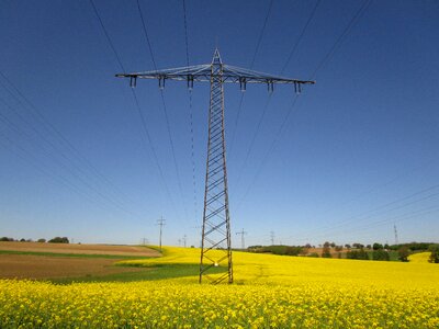 Electricity power line power poles