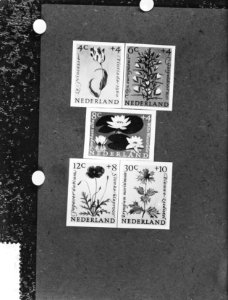 Aankomst van dr Drees en echtgenote in Israel, zomerzegels 1960, Bestanddeelnr 911-1142