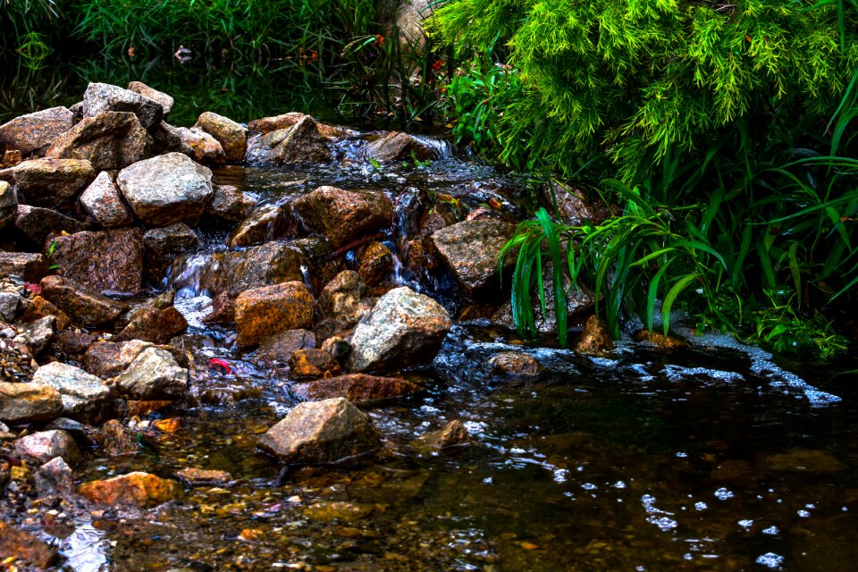 Nature stream natural